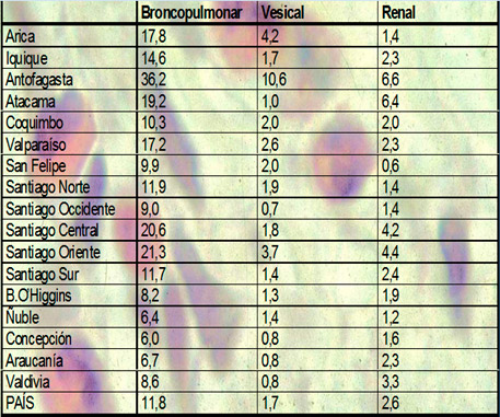 estadistica