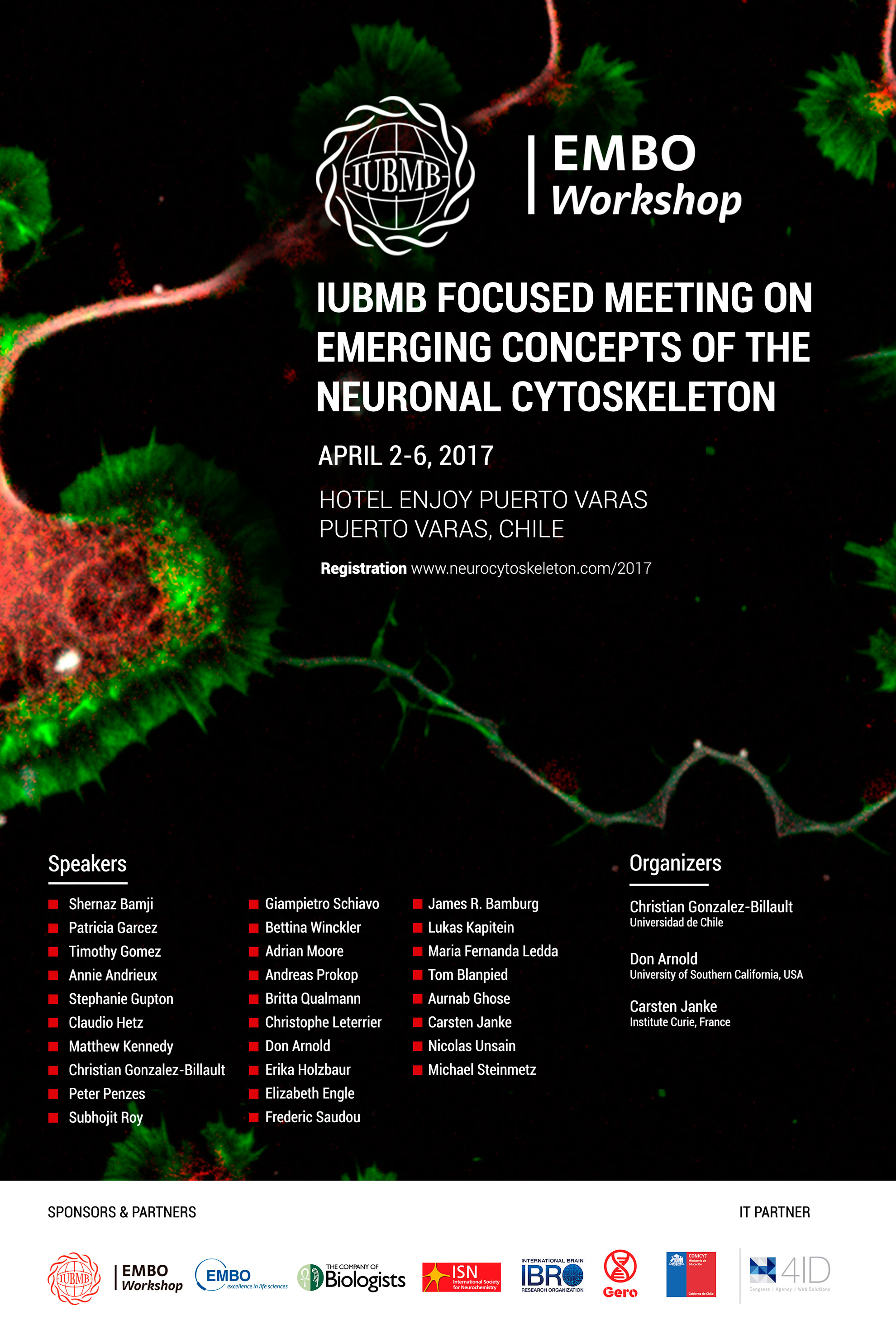 IUBMB_cytoskeleton_flyer