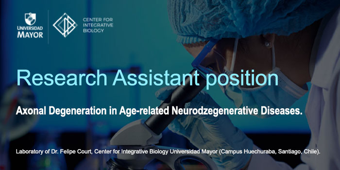 Research Assistant position